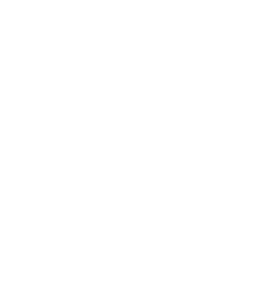 實力(li)廠傢